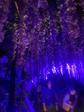 ニジゲンノモリに投稿された画像（2025/8/3）