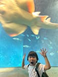葛西臨海水族園に投稿された画像（2025/8/4）