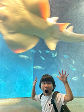 葛西臨海水族園に投稿された画像（2025/8/3）