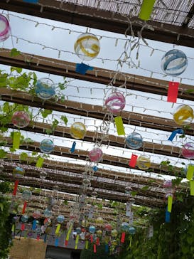 江戸東京たてもの園に投稿された画像（2025/8/3）