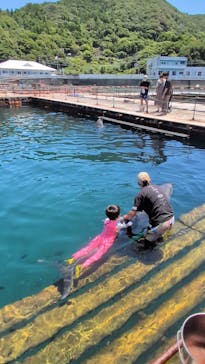 うみたま体験パーク 「つくみイルカ島」に投稿された画像（2025/8/3）