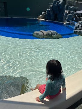 大分マリーンパレス水族館 「うみたまご」に投稿された画像（2025/8/3）