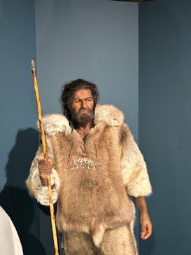 特別展「氷河期展 〜人類が見た4万年前の世界〜」（国立科学博物館）に投稿された画像（2025/8/3）