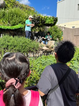 サンシャイン水族館に投稿された画像（2025/8/3）