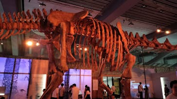 巨大恐竜展2025に投稿された画像（2025/8/3）