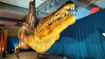 巨大恐竜展2025に投稿された画像（2025/8/3）