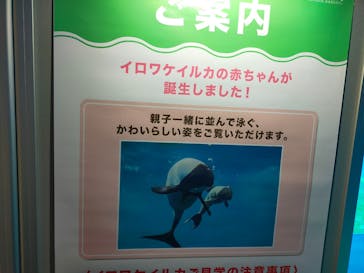 仙台うみの杜水族館に投稿された画像（2025/8/3）