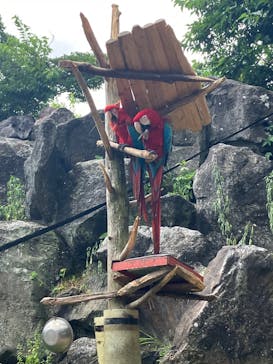 伊豆シャボテン動物公園に投稿された画像（2025/8/3）