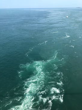 徳島県立 渦の道に投稿された画像（2025/8/3）