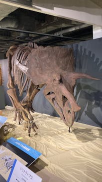 大恐竜展に投稿された画像（2025/8/4）