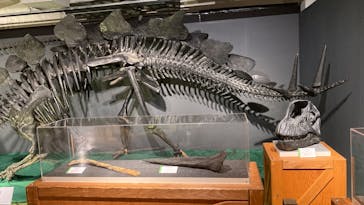 大恐竜展に投稿された画像（2025/8/4）