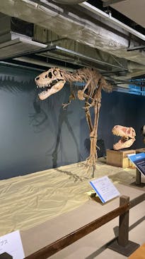 大恐竜展に投稿された画像（2025/8/4）