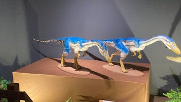 大恐竜展に投稿された画像（2025/8/4）