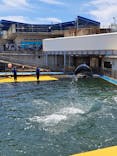 越前松島水族館に投稿された画像（2025/8/4）
