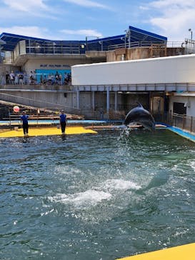 越前松島水族館に投稿された画像（2025/8/4）