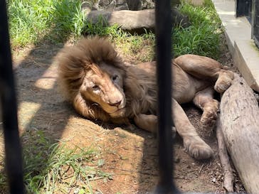 沖縄こどもの国に投稿された画像（2025/8/4）