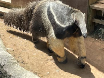 沖縄こどもの国に投稿された画像（2025/8/4）