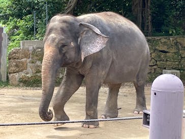 沖縄こどもの国に投稿された画像（2025/8/4）