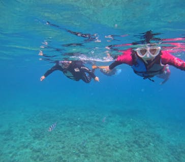 沖縄マリンサービス碧に投稿された画像（2025/8/4）