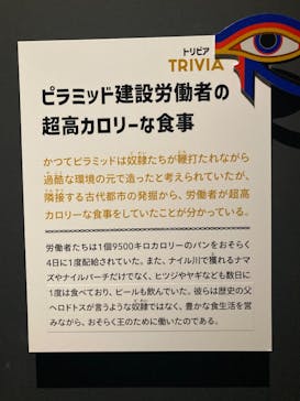 ブルックリン博物館所蔵　特別展　古代エジプト（豊田会場）に投稿された画像（2025/8/4）