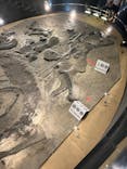 福井県立恐竜博物館に投稿された画像（2025/8/4）