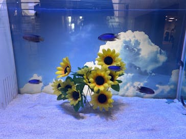 名古屋港水族館に投稿された画像（2025/8/4）