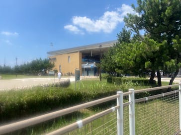 新江ノ島水族館に投稿された画像（2025/8/4）