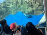 新江ノ島水族館に投稿された画像（2025/8/4）