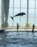 アクアワールド茨城県大洗水族館に投稿された画像（2025/8/4）