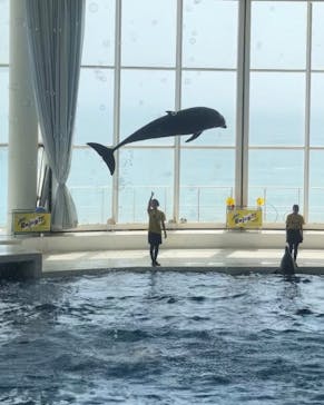 アクアワールド茨城県大洗水族館に投稿された画像（2025/8/4）