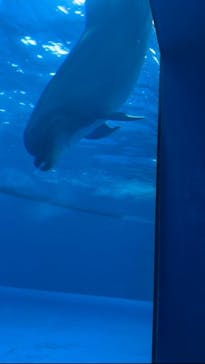 アクアワールド茨城県大洗水族館に投稿された画像（2025/8/4）