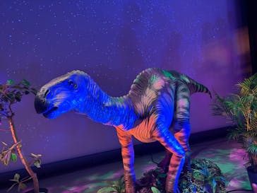 氷見 大恐竜博 @氷見市芸術文化館に投稿された画像（2025/8/4）