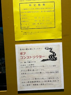 リトルモンスター展～「うゎっ」と「ぅわぁ～」のいきものたち～ @新潟県立自然科学館に投稿された画像（2025/8/4）