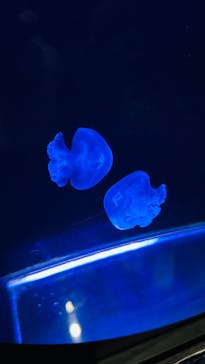 Space Travelium TeNQに投稿された画像（2025/8/4）