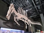 福井県立恐竜博物館に投稿された画像（2025/8/4）