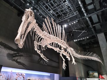 福井県立恐竜博物館に投稿された画像（2025/8/4）