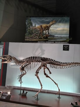 福井県立恐竜博物館に投稿された画像（2025/8/4）