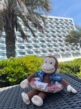 大磯ロングビーチに投稿された画像（2025/8/4）