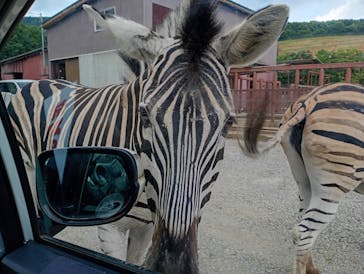 東北サファリパークに投稿された画像（2025/8/4）