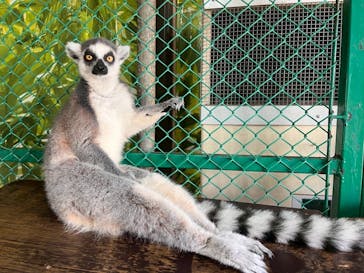 那須ワールドモンキーパークに投稿された画像（2025/8/4）