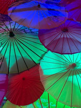 錦鯉・金魚アクアリウム in ときメッセに投稿された画像（2025/8/4）