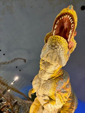 福井県立恐竜博物館に投稿された画像（2025/8/4）