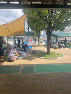 ウォーターパークデカパトスに投稿された画像（2025/8/4）