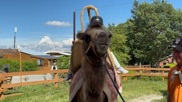 那須どうぶつ王国に投稿された画像（2025/8/4）