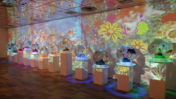 NARA KINGYO MUSEUMに投稿された画像（2025/8/4）