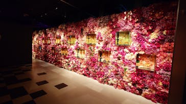 NARA KINGYO MUSEUMに投稿された画像（2025/8/4）