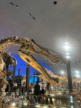 福井県立恐竜博物館に投稿された画像（2025/8/4）