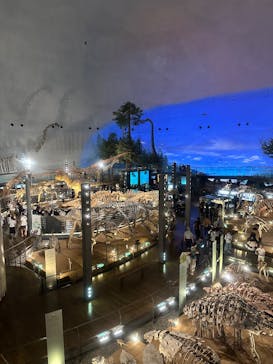 福井県立恐竜博物館に投稿された画像（2025/8/4）