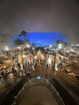 福井県立恐竜博物館に投稿された画像（2025/8/4）