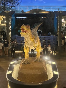 福井県立恐竜博物館に投稿された画像（2025/8/4）